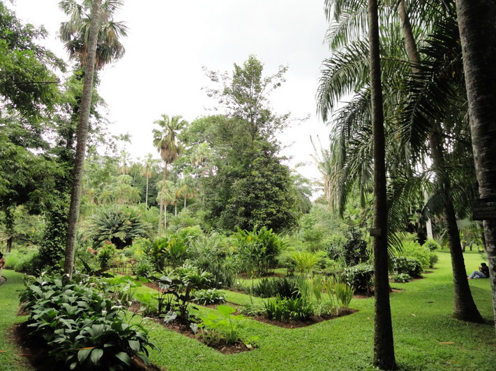 Sri Lanka, Kandy, Royal Botanical Garden